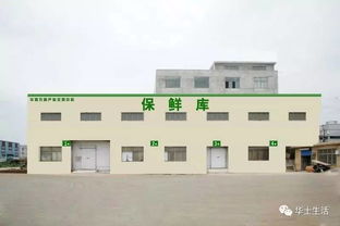 萬眾期待，終于等到你——華西農副產品交易中心水果區9月18日盛大開業