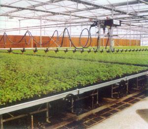 重華供應各類大棚噴灌系統 微噴、移動噴灌助力現代農業